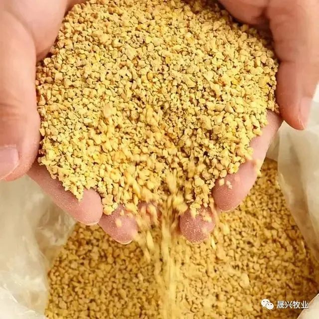 蛋雞養殖設備