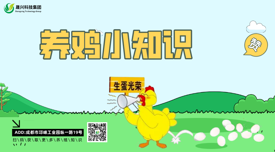 養雞設備