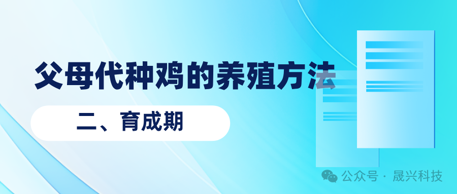 養雞設備